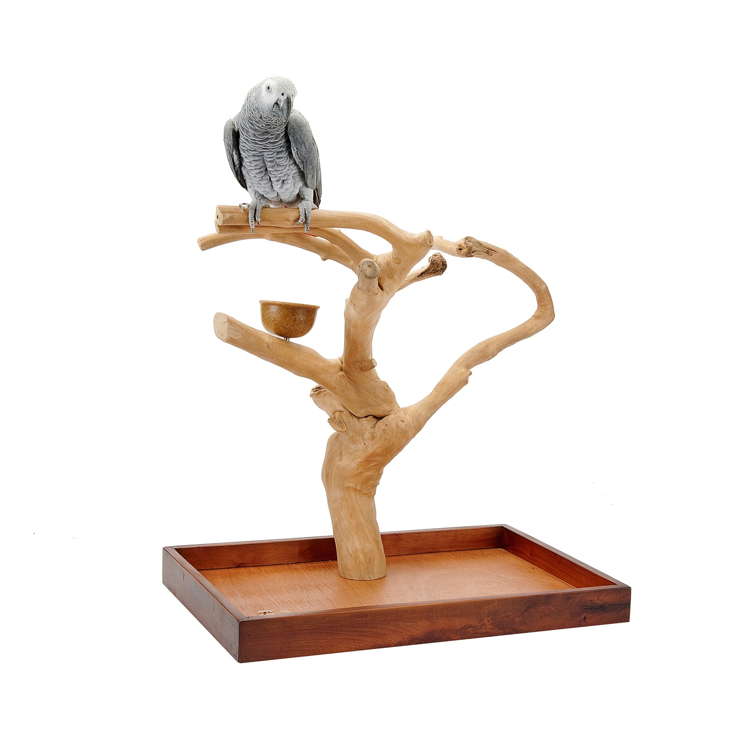 Java Mini Tree Large