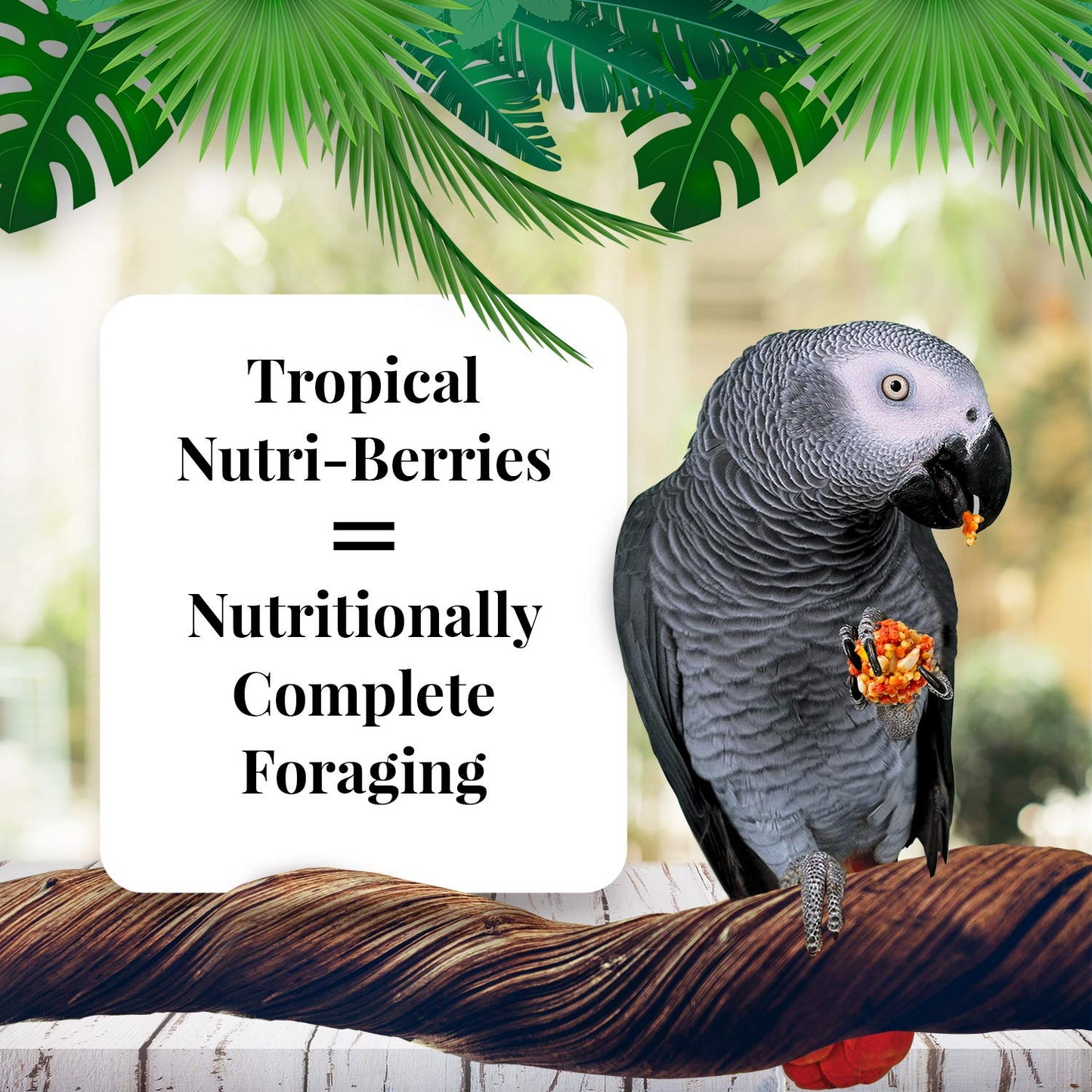 Lafeber's Nutriberries Tropical Fruit 284g