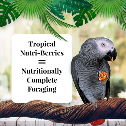 Lafeber's Nutriberries Tropical Fruit 284g