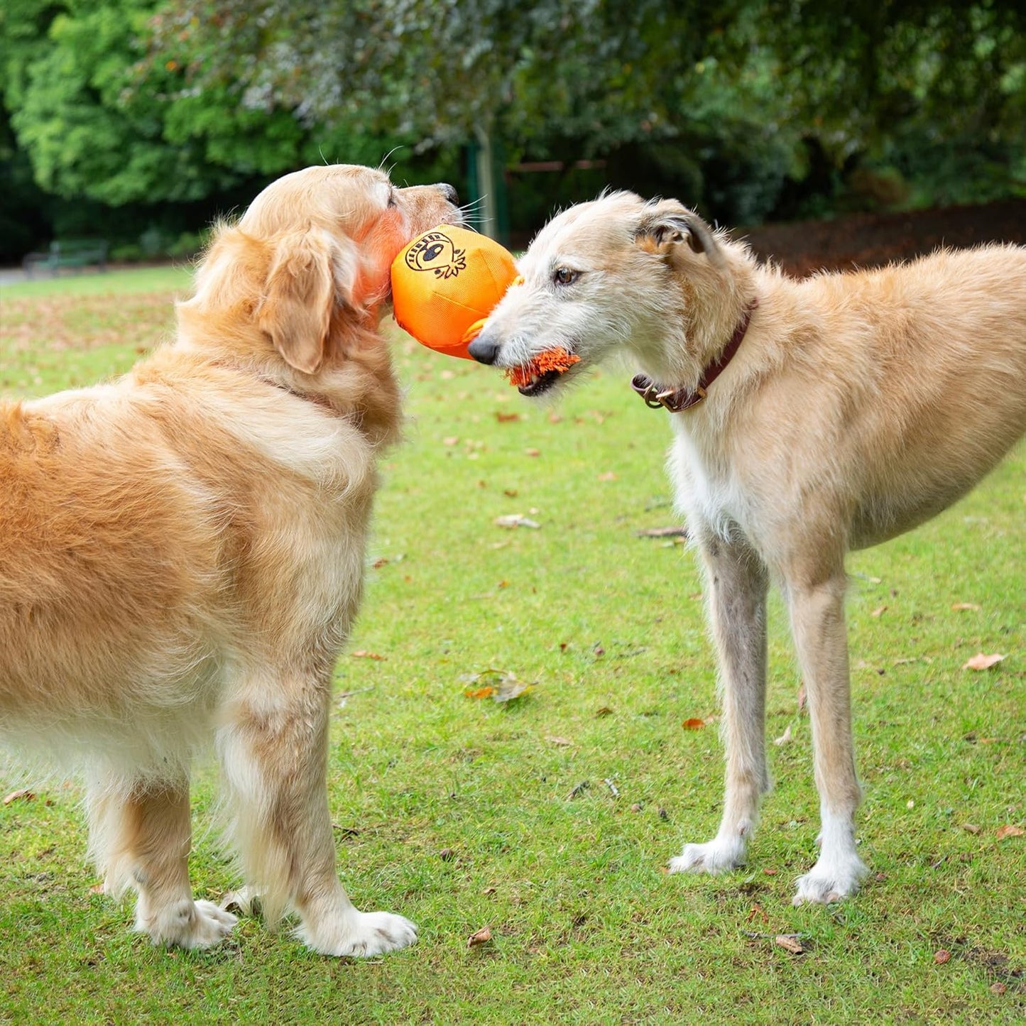 Good Boy Space Lobber Tug