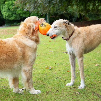 Good Boy Space Lobber Tug