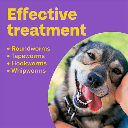 Bob Martin 3 In 1 Wormer Treatment Medium - Large Dogs Up To 40kg 4 Tablets