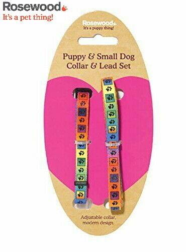 Rosewood Puppy Collar & Lead Set Multi Print