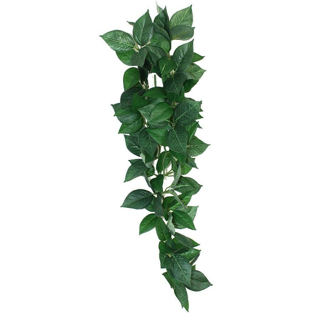 Komodo Sumatra Silk Vine 23cm