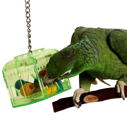 The Bird House Treasure Hunt Parrot Toy