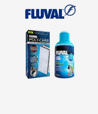 Fluval