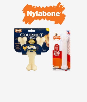 Nylabone