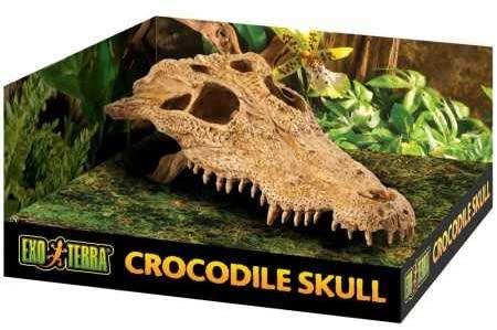 Exo Terra Crocodile Skull Vivarium Decoration