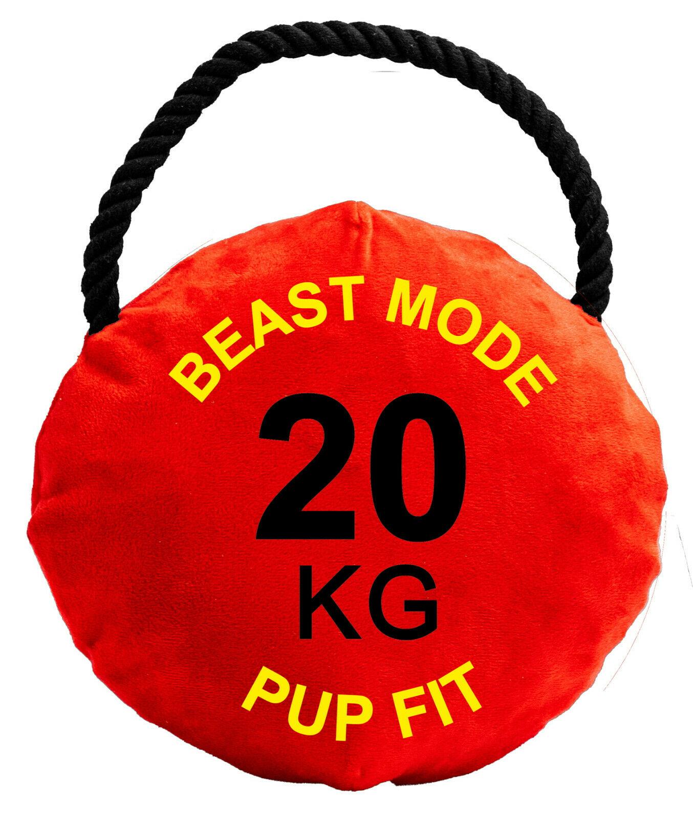 Dog Life PupFit Kettlebell Small 20kg