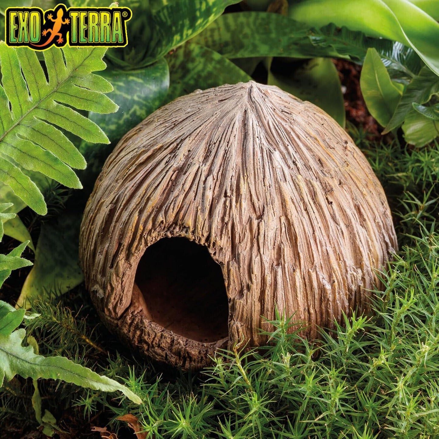 Exo Terra Coconut Cave Nesting & Egg-Laying Hide