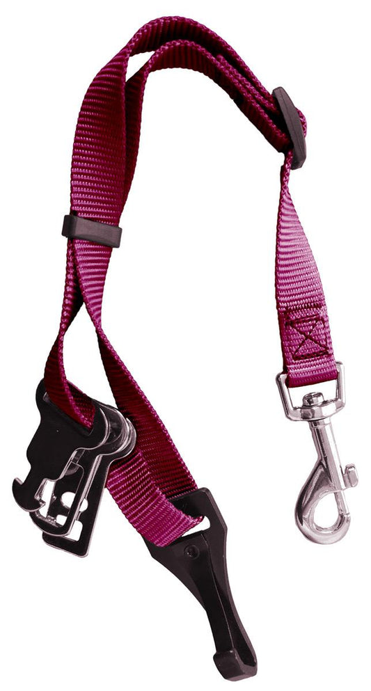 Sotnos Isofix Universal Seat Belt Restraint Pink