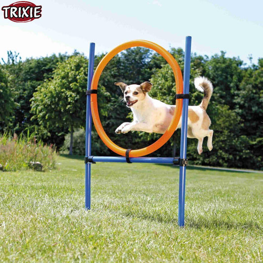 Trixie Fun Agility Ring, Plastic, 115 x 3 cm Blue/Orange