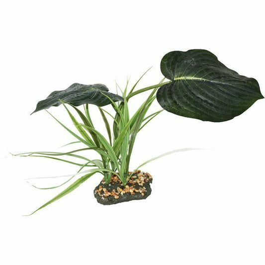 Komodo Woodland Canopy Vivarium Plant 42cm