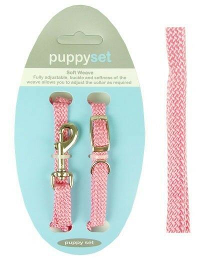 Rosewood Puppy Collar & Lead Set Pink