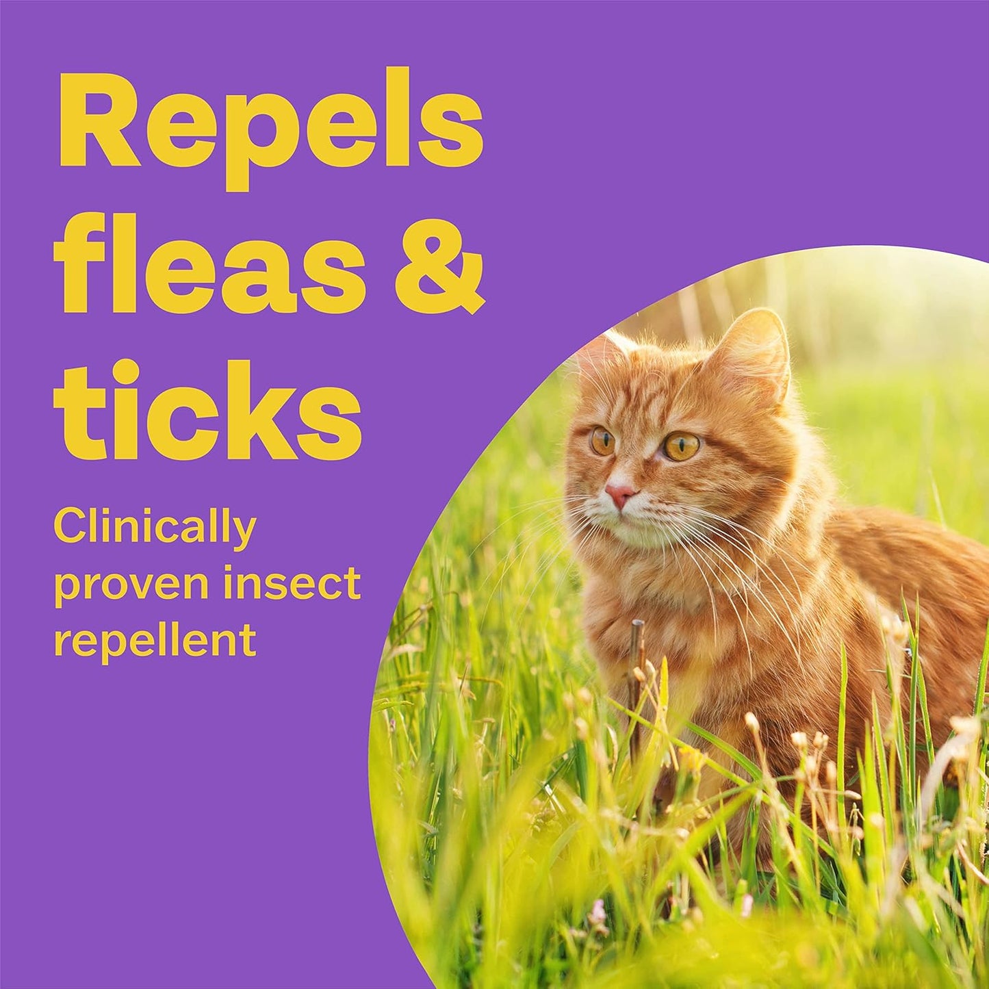 Bob Martin Clear Spot On Flea Repellent For Cats 6 Pipettes